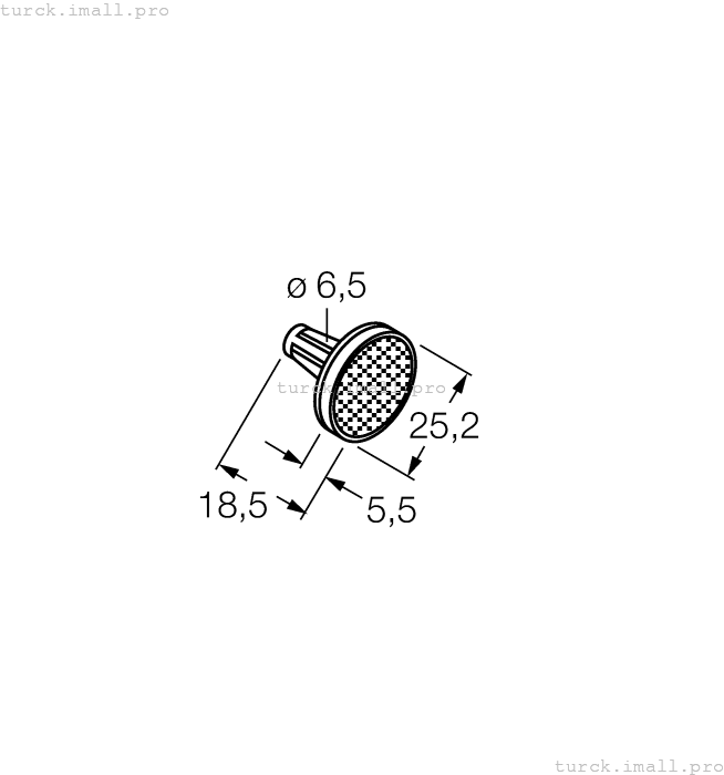 BRT-25R 3049809 TURCK