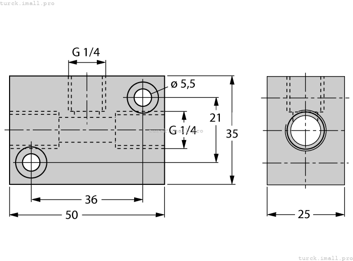FCI-1/4-1/4-1/4-A4 6873012 TURCK