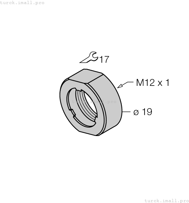 PN-M12 6905309 TURCK