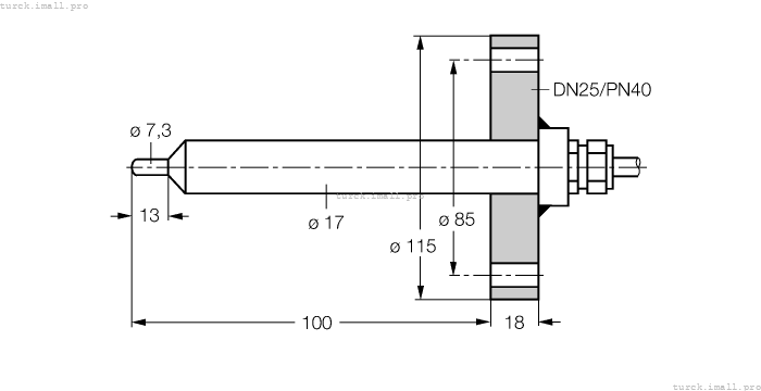 FCS-DN25A4-NAEX0/L100 6872035 TURCK