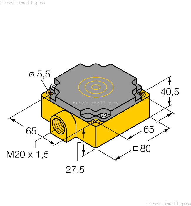 NI40-CP80-Y1 10085 TURCK
