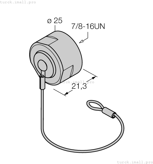 RKMV-CC 6604038 TURCK