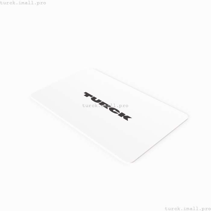 TW-L86-54-C-B128 6900479 TURCK