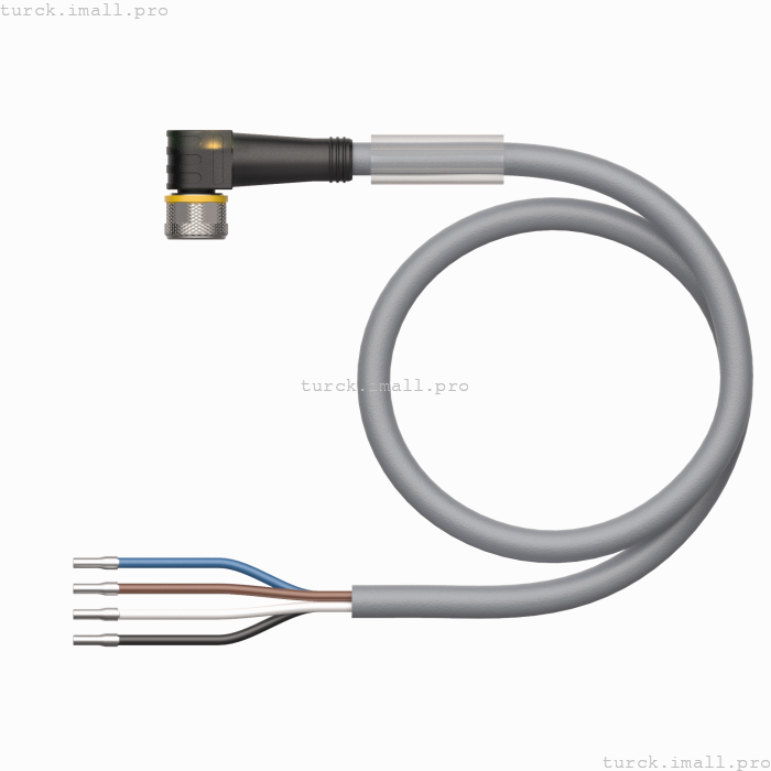 PKW4M-P7X2-10/TEG 6629346 TURCK