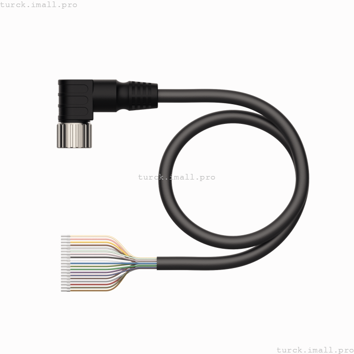 CKWM19-19-10/TXL 6631137 TURCK